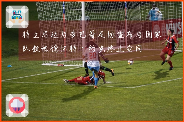 特立尼达与多巴哥足协宣布与国家队教练德怀特·约克终止合同